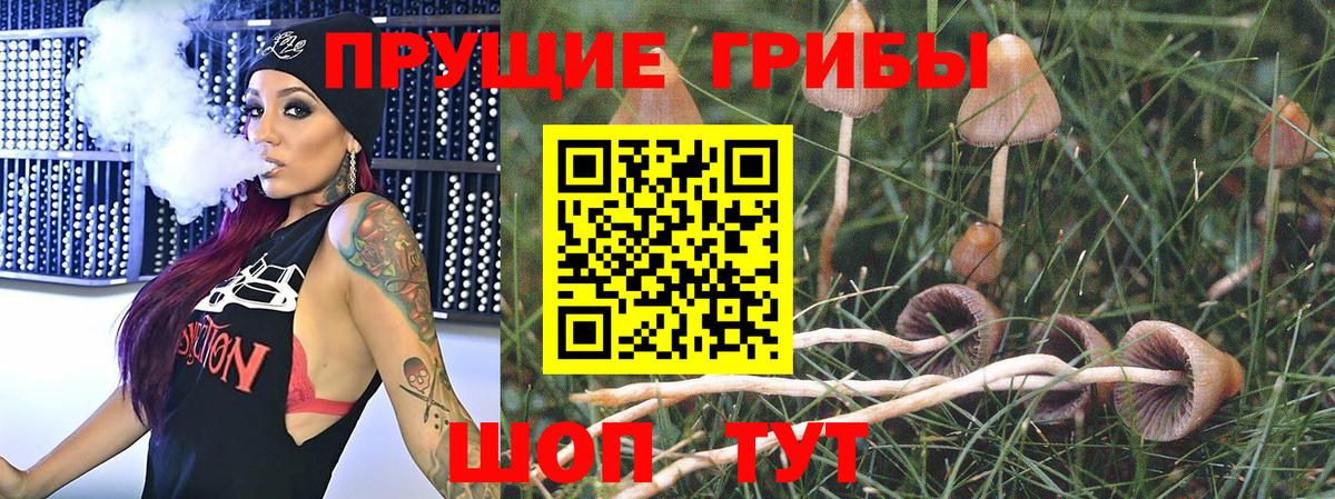 Вышний Волочёк  Галлюциногенные грибы Magic Shrooms  наркотики  Вход с VPN 