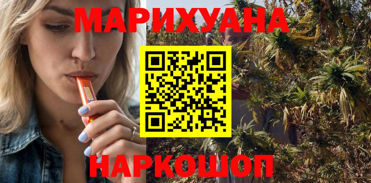 Конопля гибрид Вышний Волочёк
